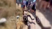 Εύβοια: Μαθήτριες πιάστηκαν στα χέρια έξω από το Γυμνάσιο Βασιλικού (βίντεο)