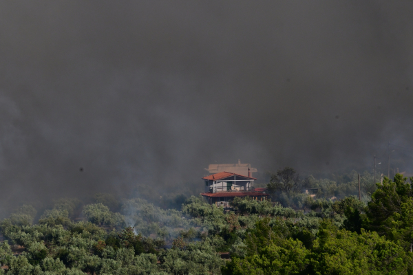 Φωτιά στο Πόρτο Γερμενό: Εικόνες καταστροφής από το πέρασμα της πυρκαγιάς - Κάηκαν σπίτια