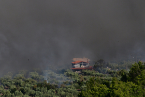 Φωτιά στο Πόρτο Γερμενό: Εικόνες καταστροφής από το πέρασμα της πυρκαγιάς - Κάηκαν σπίτια