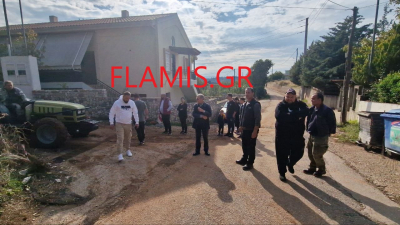 flamis.gr