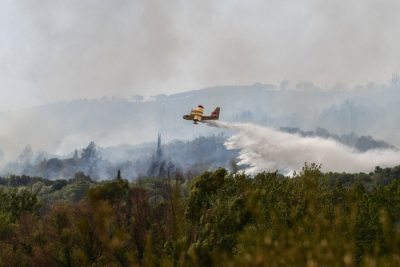 Φωτιά τώρα στην Κρήτη - Καίγεται το δάσος της Κέρης