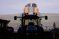 All Eyes on Luxembourg: Pivotal EU Court Ruling on Retailers’ Pest Liability Expected June 25