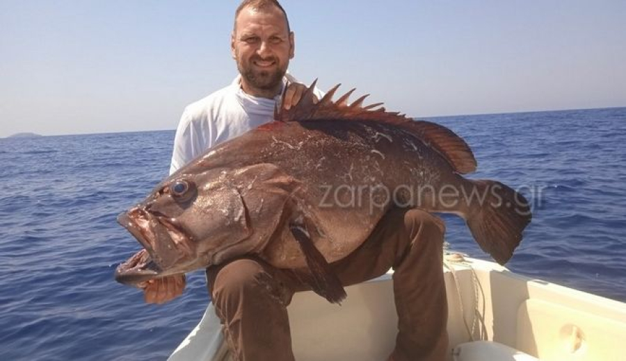 Χανιά: Απίστευτη ψαριά - Έπιασαν βλάχο μήκους 1,5 μέτρου