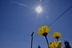photo: Eurokinissi