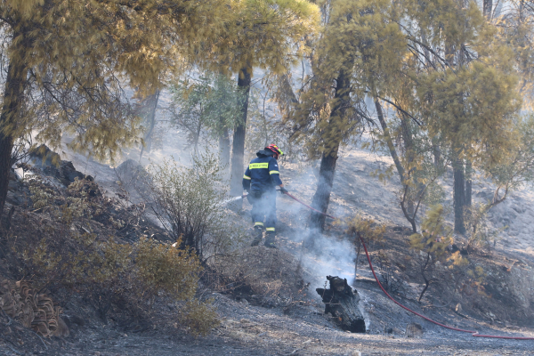 Φωτιά στη Σαλαμίνα: Από οικόπεδο ξεκίνησε η πυρκαγιά στα Περιστέρια - Εξαπλώθηκε ραγδαία μέσα σε έξι λεπτά
