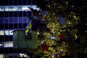 Το δέντρo γέρνει – Πίζα έγινε η πλατεία Συντάγματος (vid)