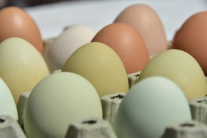 Αυγό: Η υπερτροφή που μας κάνει καλό σε όλη τη ζωή μας