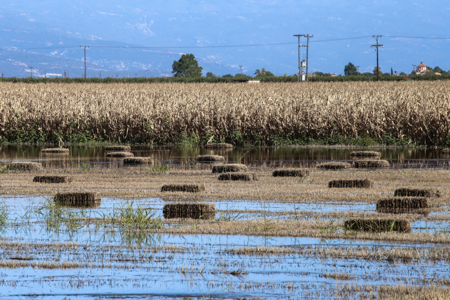 Ο Ζερεφός εκπέμπει SOS: «Πρέπει να μάθουμε να ζούμε με τα ακραία καιρικά φαινόμενα»