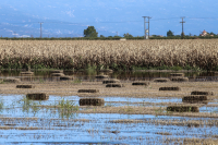 Ο Ζερεφός εκπέμπει SOS: «Πρέπει να μάθουμε να ζούμε με τα ακραία καιρικά φαινόμενα»