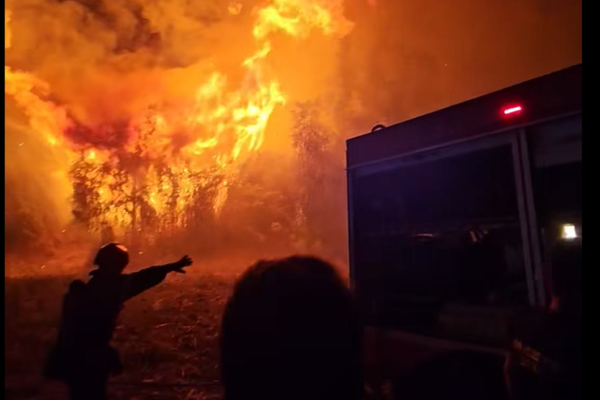 Φωτιά στα Λεχαινά Ηλείας: Μάχη με τις φλόγες για 40 πυροσβέστες (Βίντεο)