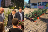 Δήμος Αθηναίων: 43 σχολικές αυλές γίνονται πιο πράσινες και πιο δροσερές