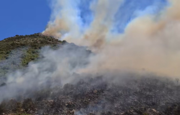 Φωτιά στην Αχαΐα: Μήνυμα από το 112 - Ενισχύονται οι πυροσβεστικές δυνάμεις (βίντεο)