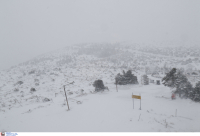 Χιόνια στην Αττική: Διακοπή κυκλοφορίας στην Λ.Πάρνηθος