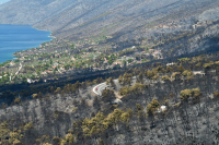 Κάηκαν 180.000 στρέμματα σε Κρήτη, Πάρο, Βοιωτία και Αττική - 10.000 πολίτες εγκατέλειψαν τα σπίτια τους