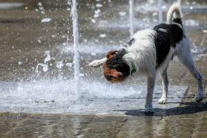 Έσπασε το ρεκόρ θερμοκρασίας: Στους 39,3 °C ο υδράργυρος σε Ελευσίνα και Θήβα - «Καμίνι» Γκάζι (38,4°C) και Πατήσια (38,3°C)