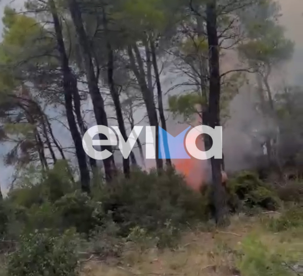 Εύβοια: Διπλό μέτωπο φωτιάς μετά από κεραυνούς