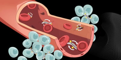 «Μαγνητικά βακτήρια»: ένα πρωτότυπο «Κούριερ» αντικαρκινικών φαρμάκων