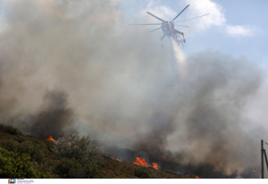 Φωτιές σε Κάστρο Βοιωτίας, Αξιούπολη Κιλκίς και Λουτράκι Κορινθίας