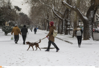 Πολικές θερμοκρασίες φέρνει η κακοκαιρία «Ελπίς», χιόνια και στην Αττική, σε επιφυλακή ο κρατικός μηχανισμός (βίντεο)