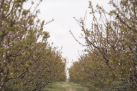 Ανατροπή με την Κάρτα του Αγρότη
