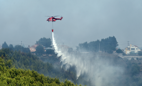 Φωτιά τώρα σε δασική έκταση στην Εύβοια, επιχειρούν 3 εναέρια