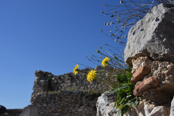 Και πάλι... 40άρια, 6 μποφόρ αλλά και βροχές - Ο καιρός της Τρίτης 10/8