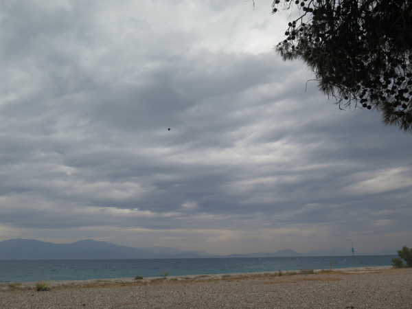 Σάκης Αρναούτογλου: Τοπικές μπόρες και καταιγίδες απόψε - Αυτές είναι οι περιοχές