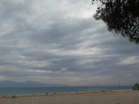 Σάκης Αρναούτογλου: Τοπικές μπόρες και καταιγίδες απόψε - Αυτές είναι οι περιοχές