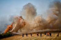 Φωτιά στα Βίλια - Πρόεδρος της Κοινότητας: Θέλω να δώσω συγχαρητήρια στους Πολωνούς πυροσβέστες, γιατί προστάτευσαν την πόλη