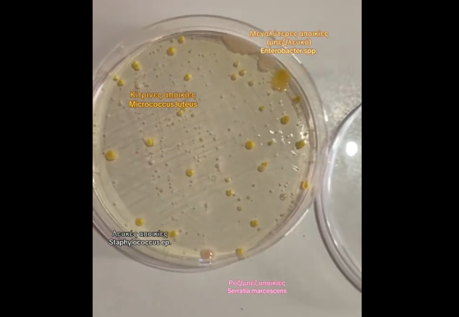 «Παρέλαση» μικροβίων στο μετρό της Αθήνας - Ελληνίδα βιολόγος αποκαλύπτει τι εντόπισε