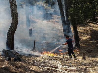 Νέα φωτιά: Τρία διαφορετικά μέτωπα σε δύσβατη περιοχή της Ξάνθης