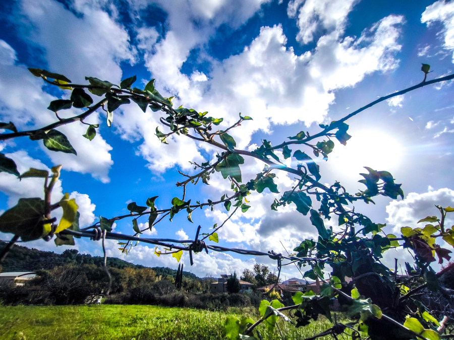 Καιρός: Με ομπρέλα... καλού-κακού σήμερα στην Αττική - Η πρόγνωση Μαρουσάκη