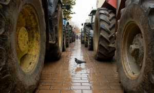 Μεγάλο το ενδιαφέρον αγροτών και κτηνοτρόφων για τη νέα ΚΑΠ