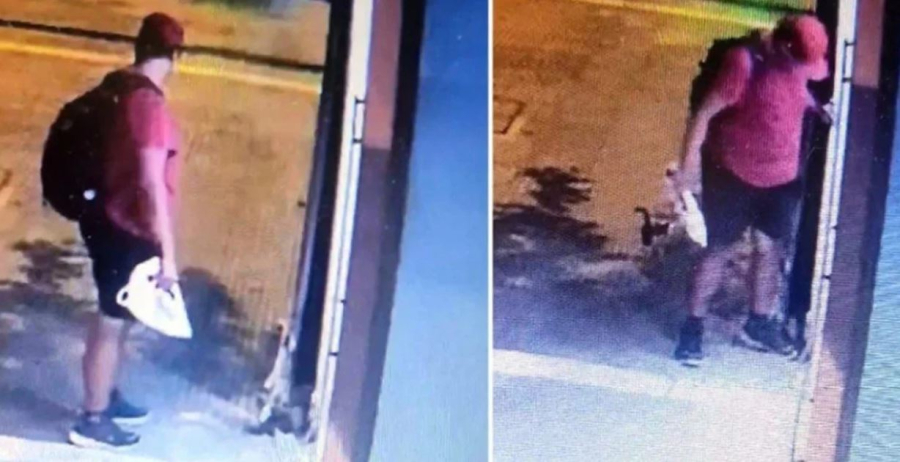 Μέχρι και δέκα χρόνια στην φυλακή ο διδάκτορας του ΑΠΘ που σκότωσε με το πόδι του νεογέννητο γατάκι