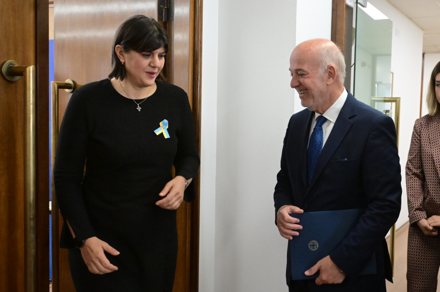 Αλλαγές στο άρθρο περί ευθύνης υπουργών ζήτησε η Λάουρα Κοβέσι