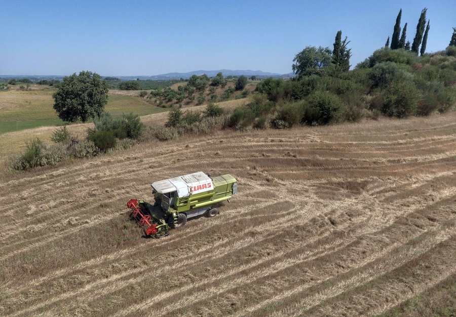 ΟΣΔΕ 2022: 250.000 αιτήσεις υποβλήθηκαν μέχρι τώρα στο gov.gr