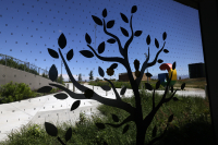 Η Google «βομβαρδίζει» το κλίμα: Εκτοξεύτηκαν οι εκπομπές αερίων λόγω τεχνητής νοημοσύνης