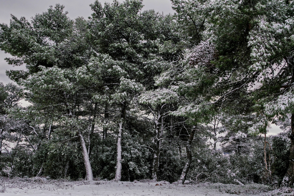 Χιονίζει τώρα στην Ιπποκράτειο Πολιτεία