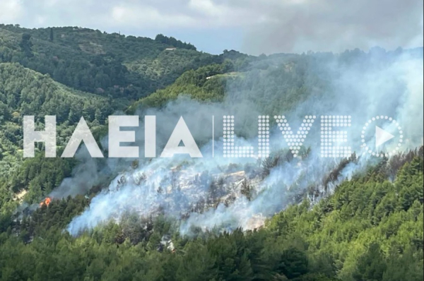 Φωτιά στο Λέπρεο Ηλείας: Συνεχίζεται η μάχη με τις φλόγες - Καλύτερη εικόνα από το μέτωπο