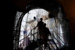 Μπαράζ ελέγχων από Οικονομική Αστυνομία και ΣΕΠΕ στη Δυτική Αττική