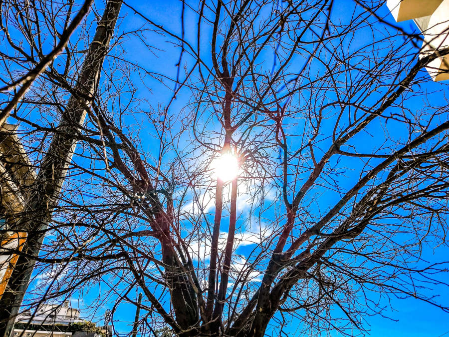 Καιρός: Πότε έρχονται 20άρια και ηλιοφάνεια - Η ανάρτηση Τσατραφύλλια