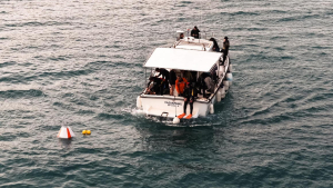 Posidonia Oceanica: Από τη μελέτη στην πράξη - πιλοτική τοποθέτηση αγκυροβολίων στο Πόρτο Ράφτη για την προστασία των λιβαδιών Ποσειδωνίας