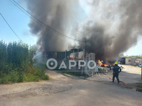 Καλαμάτα: Υπό έλεγχο η μεγάλη φωτιά σε επιχείρηση (εικόνες)