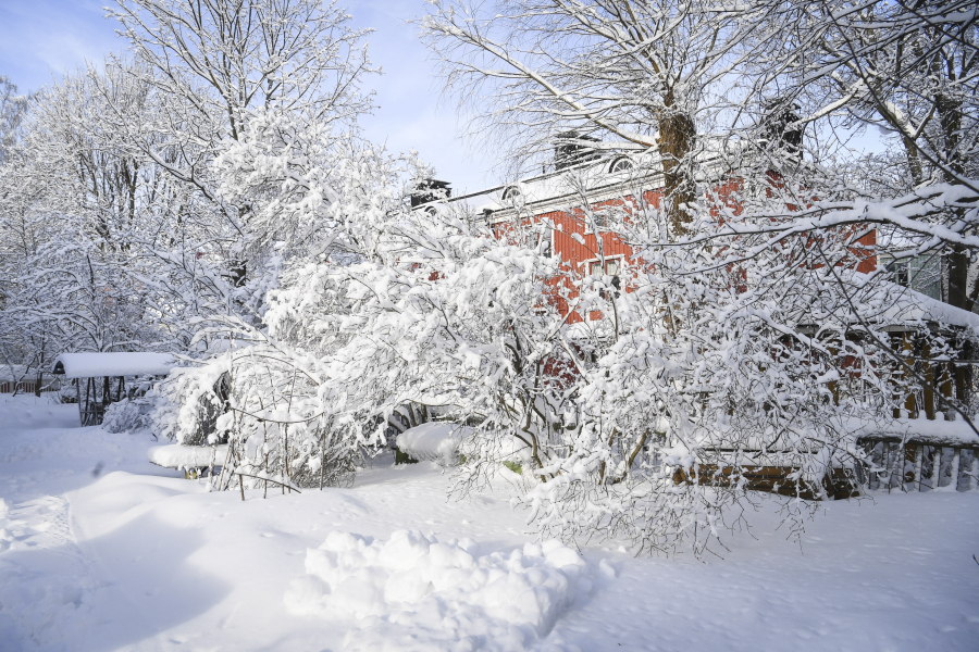 Σκανδιναβική η πιο ευτυχισμένη χώρα στον κόσμο, Λίβανος και Αφγανιστάν στις τελευταίες θέσεις