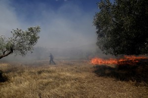 Φωτιά σε ξερά χόρτα στην Περιφερειακή οδό στη Θεσσαλονίκη