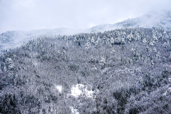 Στο «ψυγείο» η Βόρεια Ελλάδα - Με καθυστέρηση χτύπησε το κουδούνι σε σχολεία