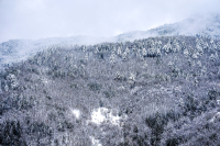 Στο «ψυγείο» η Βόρεια Ελλάδα - Με καθυστέρηση χτύπησε το κουδούνι σε σχολεία