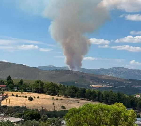 Φωτιά τώρα στην Οινόη Αττικής