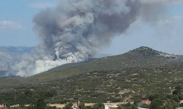Φωτιά τώρα στην Οινόη Αττικής: Ήχησε το «112» - Στη μάχη 12 εναέρια