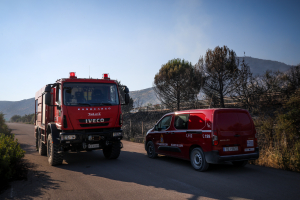 Οριοθετήθηκε η φωτιά στο Παλαιοχώρι Φθιώτιδας - Χωρίς ενεργό μέτωπο στον δήμο Δέλτα